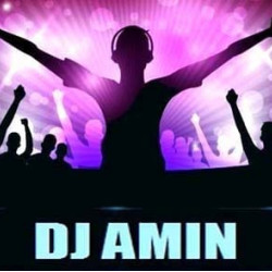 DJ Amin Sound System